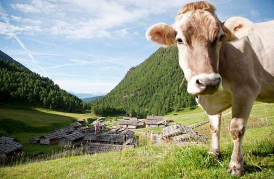 Haus Adler in Meransen / Südtirol