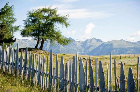 Casa Adler a Maranza / Alto Adige