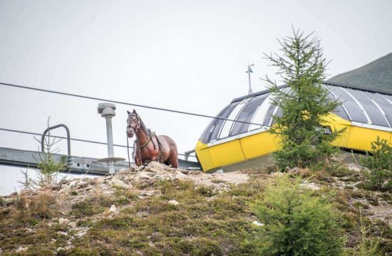 Casa Adler a Maranza / Alto Adige